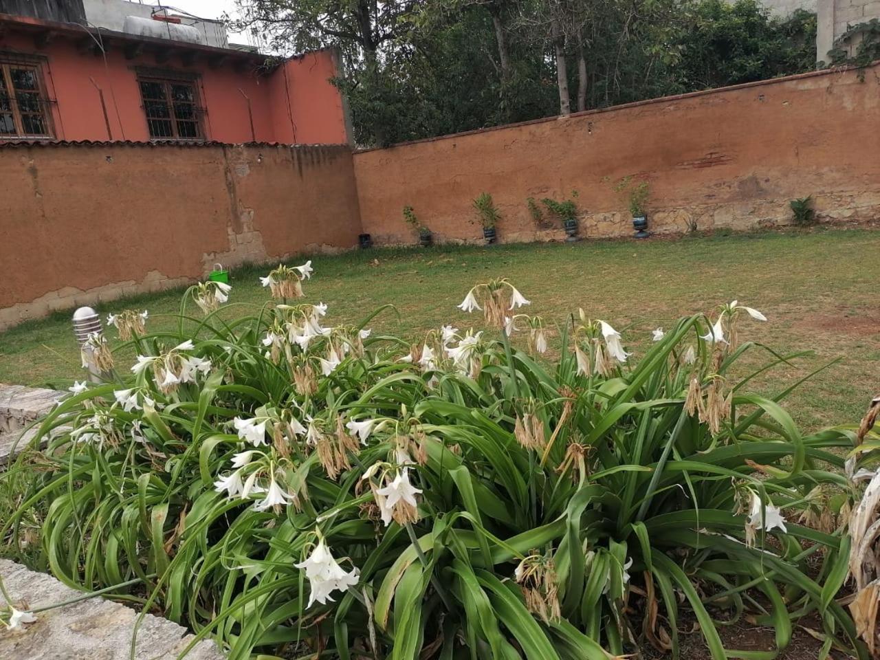 Hotel Tierra Maya San Cristobal de las Casas Bagian luar foto