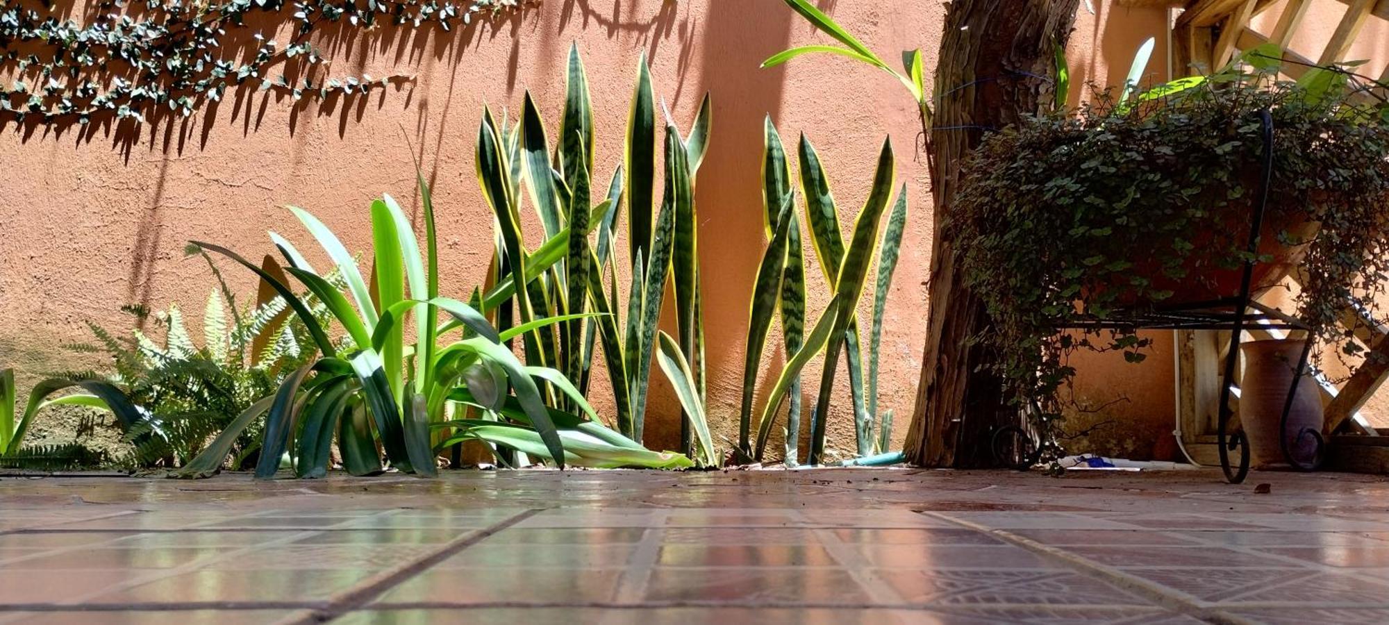 Hotel Tierra Maya San Cristobal de las Casas Bagian luar foto